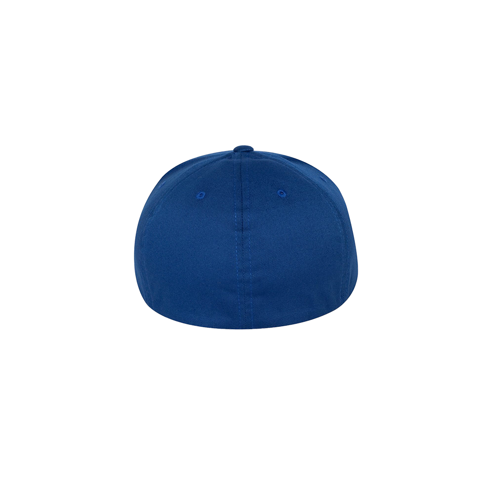 Junior Varsity Fitted Cap Back